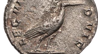 denar storch italica legio