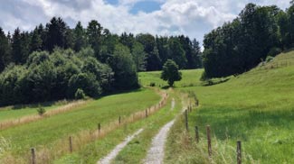 dienhausen auffahrt