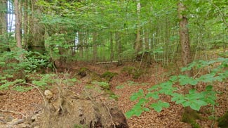 abfahrt aschertal