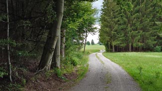 römerstrasse stocken