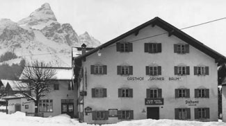 grüner baum, ehrwald, sonnenspitze