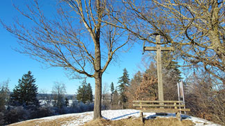 burgberg, ringwall, wallburg, burggen, frühmittelalterlich