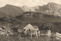 schreckenhütte, schrecksee, kastenkopf