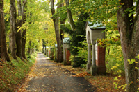 obergünzburg, nikolausberg, römische siedlung