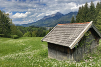 waldrast, schlossbergwiesen, reutte, säuling