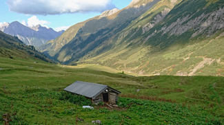 krabachtal, schafe hüten