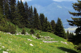 weißenbach sennalpe  höfener kreuz