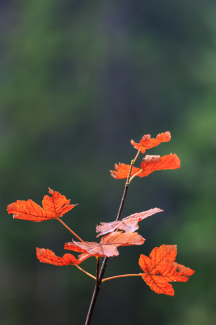 Herbst, 21.09.2013 I