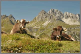 Sommerfrische
