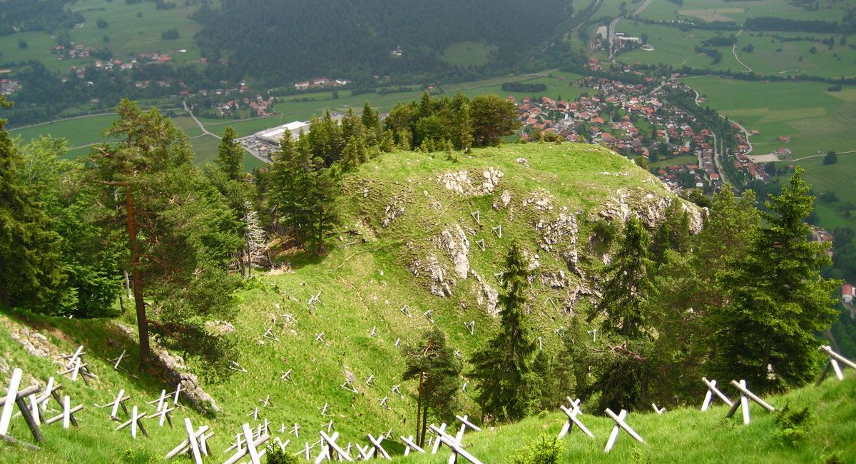Pfrontner Berg