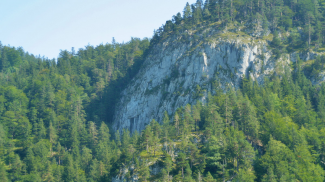 Felswand mit der Zirmengrotte