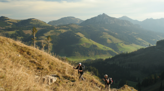 am Stuibensattel