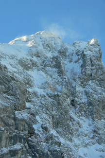 Gimpel aus dem Raintal