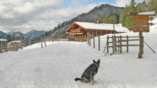 Saloberalpe