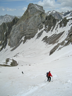 Fallenbacher Spitze