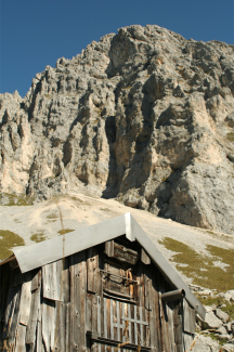Murmelebau
