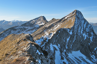Zahn und Pitzenegg