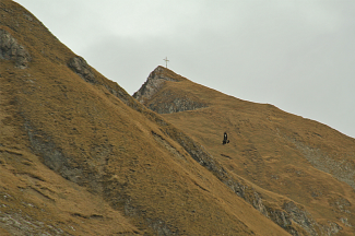 Adler an der Rotschrofenspitze