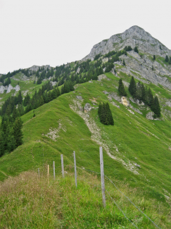 Schneid Steig über Südflanke