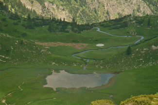 Alplsee