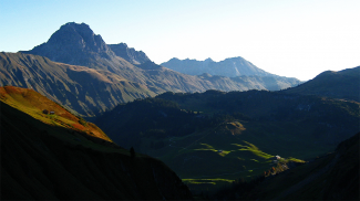 Auenfeldalpe