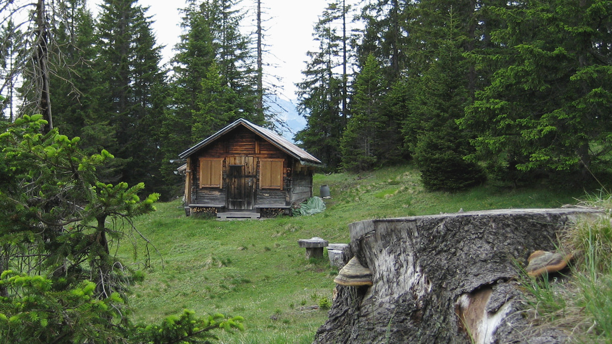 Pleishütte