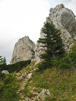 Teufelstättkopf