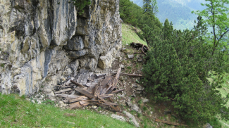 verfallene Unterstandshütte am Schwarzenköpfel