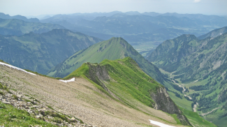 Bettlerrücken