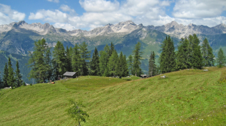 Tajen