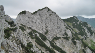 Wildböden
