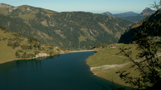 traualpe traualpsee einstein