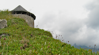 Falkenturm