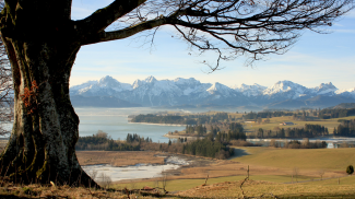 Forggensee