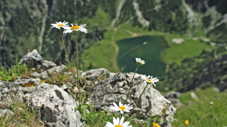 Gaisalpsee