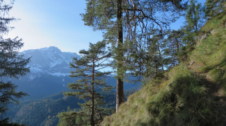 Griesbergalp-Steig