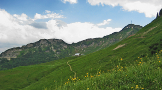 Lechaschauer Alpe