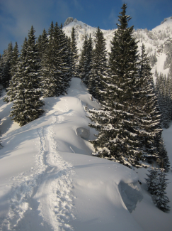 Skitour zum Füssener Jöchl