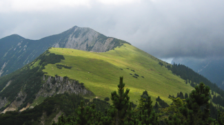 am Felderkopf