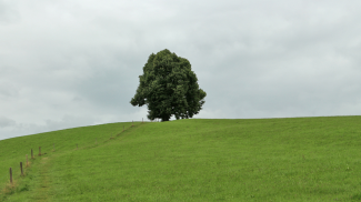 Wittelsbacher Höhe