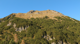 Ostflanke des Hochwanners