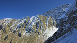 Geireköpfe