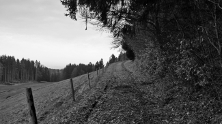 burgweg langenegg ruine