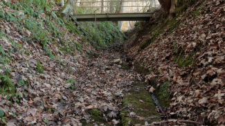 Klamm am Buchenberg - römische Geleisstraße