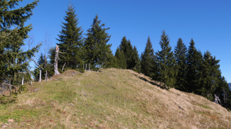 koppachstein  grasbuckel  kuppe