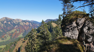 koppachstein  nagelfluh  felsblock