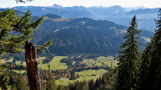 gipfelblick  koppachstein  bolgenach