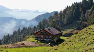 alpe schrofen  schrofenalpe  koppachstein