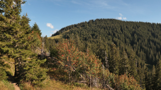 Edelsberg