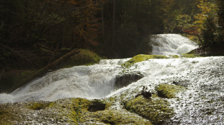 argen  kaskade  nagelfluh  isny  eistobel